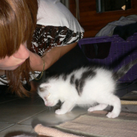 Photo #208396 de Gizmo