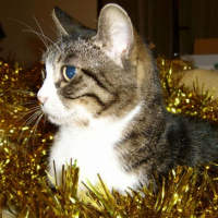 Photo #208474 de Mina