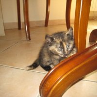 Photo #208481 de Eden