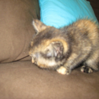 Photo #208483 de Eden