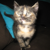 Photo #208484 de Eden