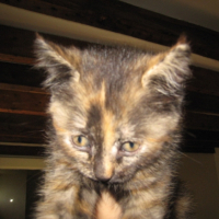 Photo #208485 de Eden