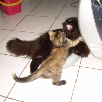 Photo #208488 de Eden
