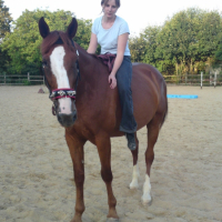 Photo #208501 de Météore de visais