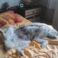 Photo0128