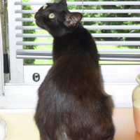Photo #208572 de Zoé