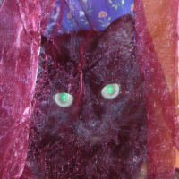 Photo #208573 de Zoé