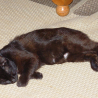 Photo #208574 de Zoé