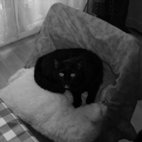 Photo #208575 de Zoé