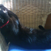 Photo #208578 de Zoé
