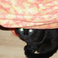 Photo #208579 de Zoé