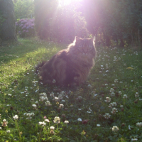 Photo #208624 de Cléo