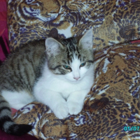 Photo #208646 de Sacha