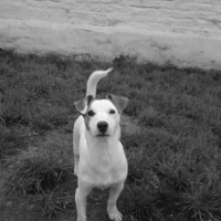 Photo #208733 de Charly