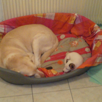 Photo #208766 de Murphy