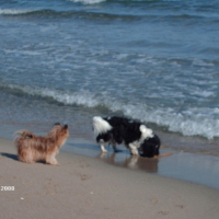 Photo #208813 de Ustic