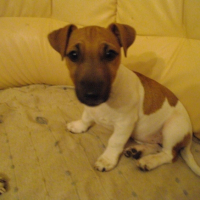 Photo #208876 de Clea
