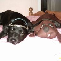 Photo #208945 de Sushi
