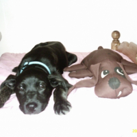 Photo #208946 de Sushi