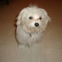 Photo #208951 de Echo