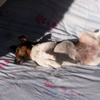 Photo #208953 de Rita