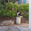 Photo0029