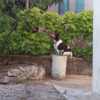 Photo #208955 de Rita