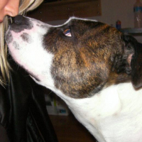 Photo #208961 de Casius
