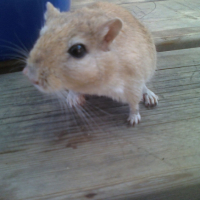 Photo #208983 de Minus