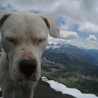 Photo #209021 de Ghost