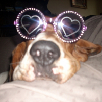 Photo #209036 de Goliath