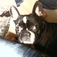 Photo #209040 de Blues