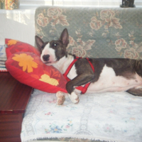 Photo #209078 de Coxy