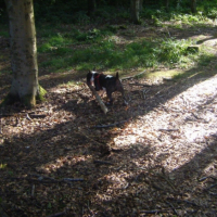 Photo #209083 de Coxy
