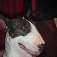 Photo #209084 de Coxy
