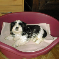 Photo #209306 de Emma lou