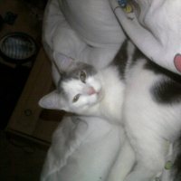 Photo #209391 de Luna
