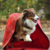 agility quand tu nous tient