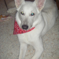 Photo #209403 de Diego