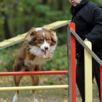 Photo #209406 de Diabolo