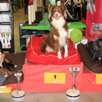 Photo #209408 de Diabolo