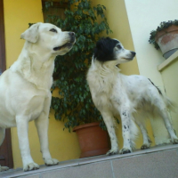 Photo #209448 de Paco