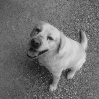 Photo #209449 de Paco