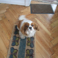 Photo #209474 de Ulysse