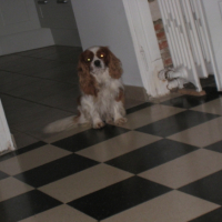 Photo #209476 de Ulysse