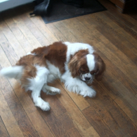 Photo #209478 de Ulysse