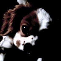 Photo #209482 de Ulysse