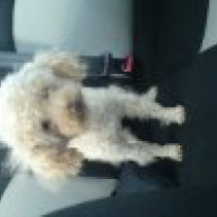 Photo #209513 de Liloo