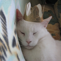 Photo #209515 de Léo