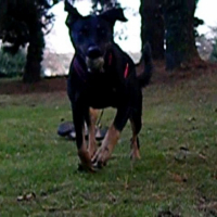Photo #209522 de Sherkan
